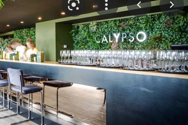 Calypso: only holidays